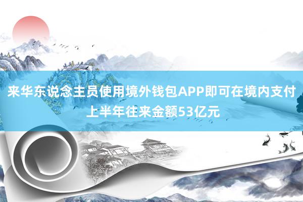 来华东说念主员使用境外钱包APP即可在境内支付 上半年往来金额53亿元