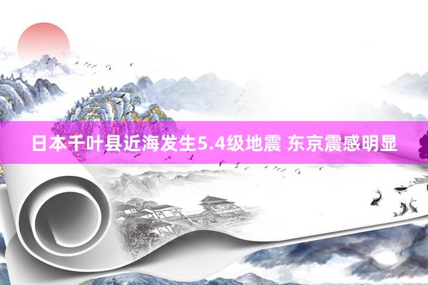 日本千叶县近海发生5.4级地震 东京震感明显