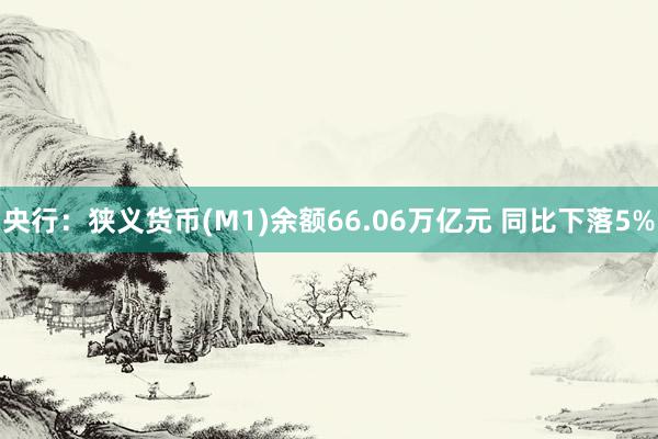 央行：狭义货币(M1)余额66.06万亿元 同比下落5%