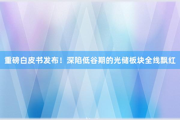 重磅白皮书发布！深陷低谷期的光储板块全线飘红