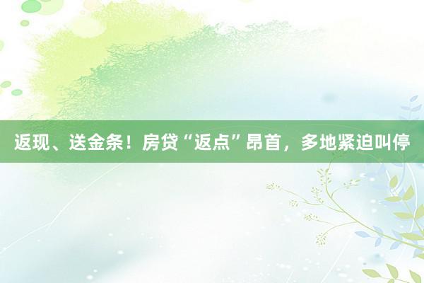 返现、送金条！房贷“返点”昂首，多地紧迫叫停