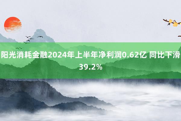 阳光消耗金融2024年上半年净利润0.62亿 同比下滑39.2%