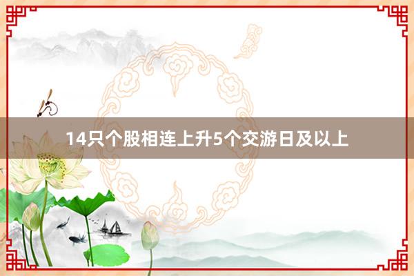 14只个股相连上升5个交游日及以上