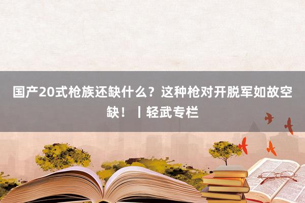 国产20式枪族还缺什么？这种枪对开脱军如故空缺！丨轻武专栏